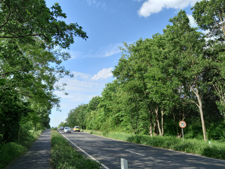 Makler Elsdorf Koeln